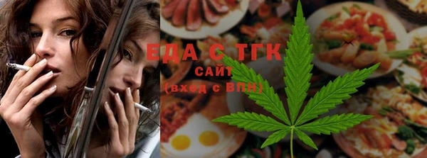 шишки Гусиноозёрск