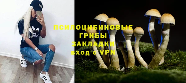 jwh Гусев
