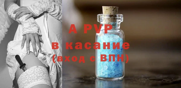 шишки Гусиноозёрск