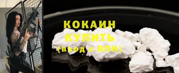шишки Гусиноозёрск