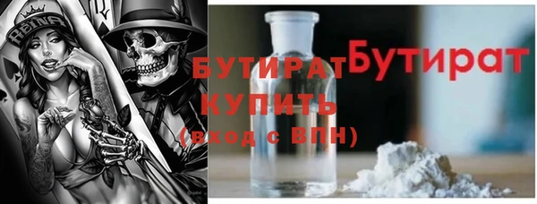 шишки Гусиноозёрск