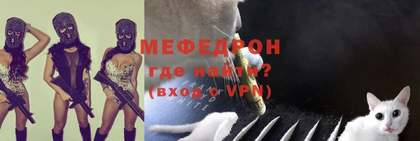шишки Гусиноозёрск
