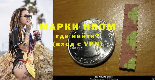 шишки Гусиноозёрск