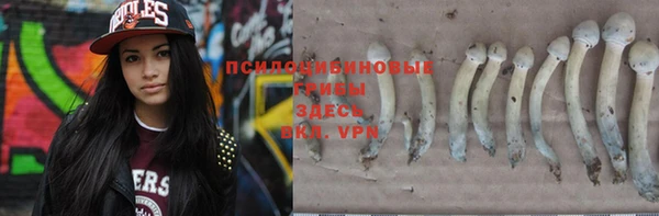 jwh Гусев