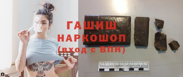 шишки Гусиноозёрск