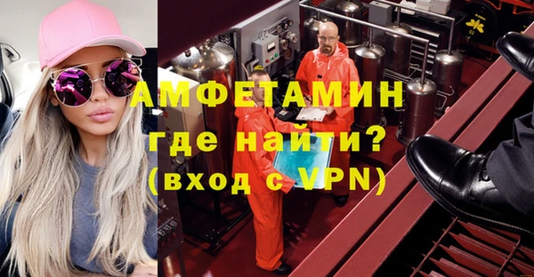 шишки Гусиноозёрск