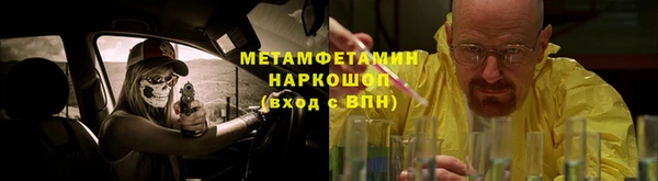 шишки Гусиноозёрск