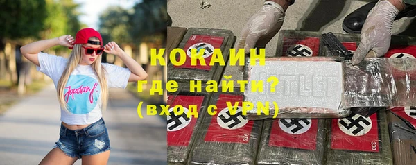 шишки Гусиноозёрск