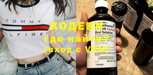 шишки Гусиноозёрск