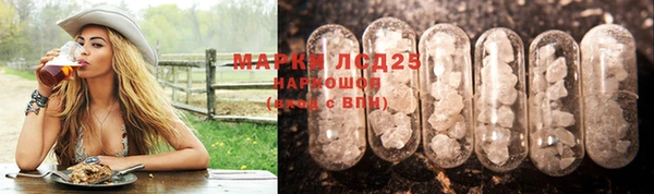 шишки Гусиноозёрск