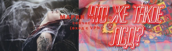 шишки Гусиноозёрск
