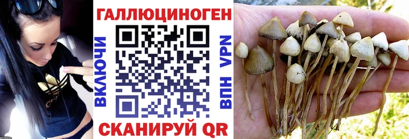 Псилоцибиновые грибы прущие грибы  купить наркотик  Томари 